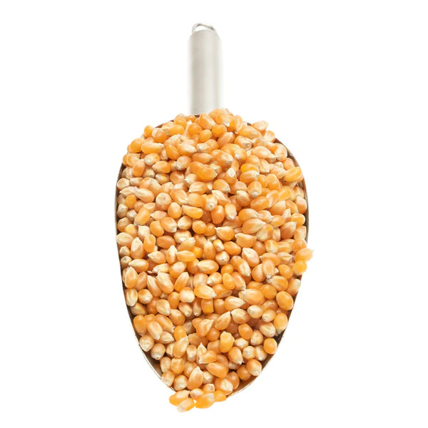 Popping Corn Supplies